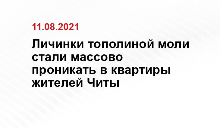 https://zab.ru/image