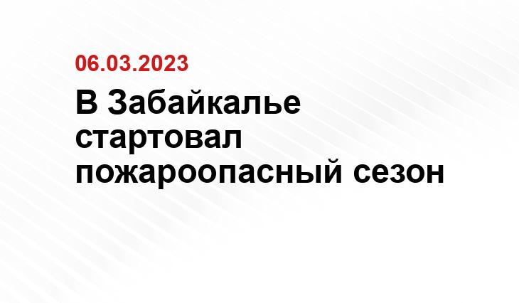 75.ru/news/311131
