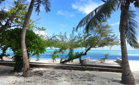 Обменяй снег на пальмы: лучшие страны для отдыха с 31 декабря по 11 января