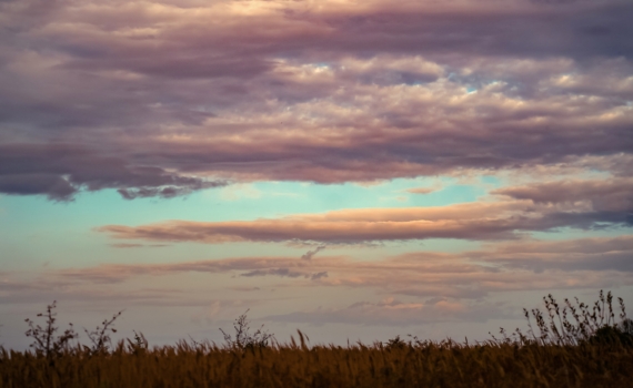 7 ноября Дедовские плачи: что можно и нельзя делать, чтобы год был лёгким — лайфхаки предков