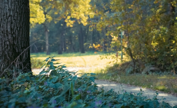 17 ноября отмечаем праздник студентов, участковых полиции, именинники по календарю и не только 17 ноября отмечаем праздник студентов, участковых полиции, именинники по календарю и не только